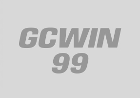 show-provider-icon